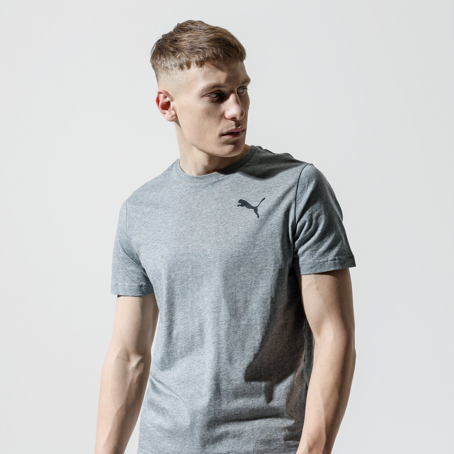 Bărbați tricou PUMA TRICOU ESS SMALL LOGO TEE 85174123 Gri
