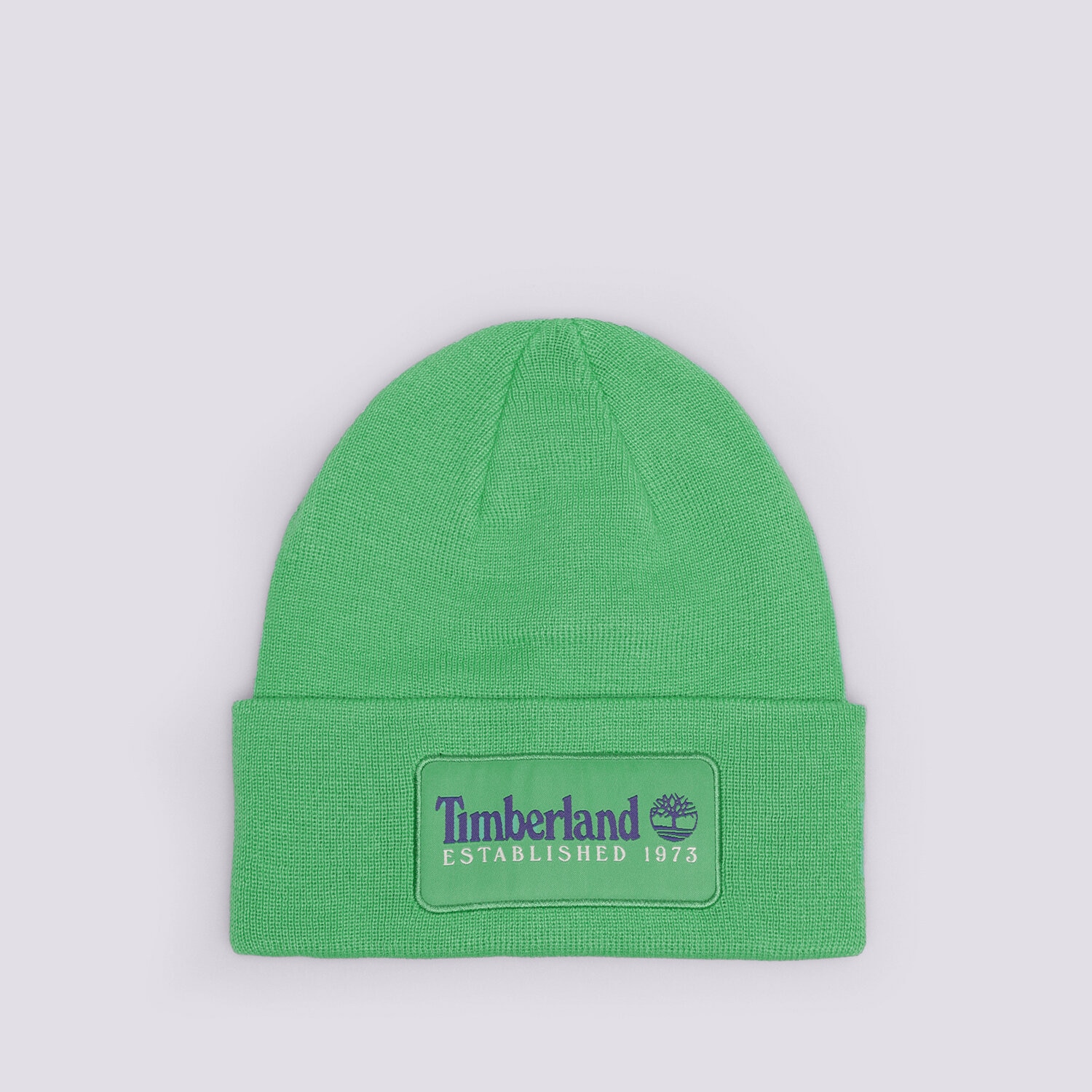 Copii căciulă TIMBERLAND ȘAPVĂ ESTABLISHED 1973 TB0A2PTDH311 Verde