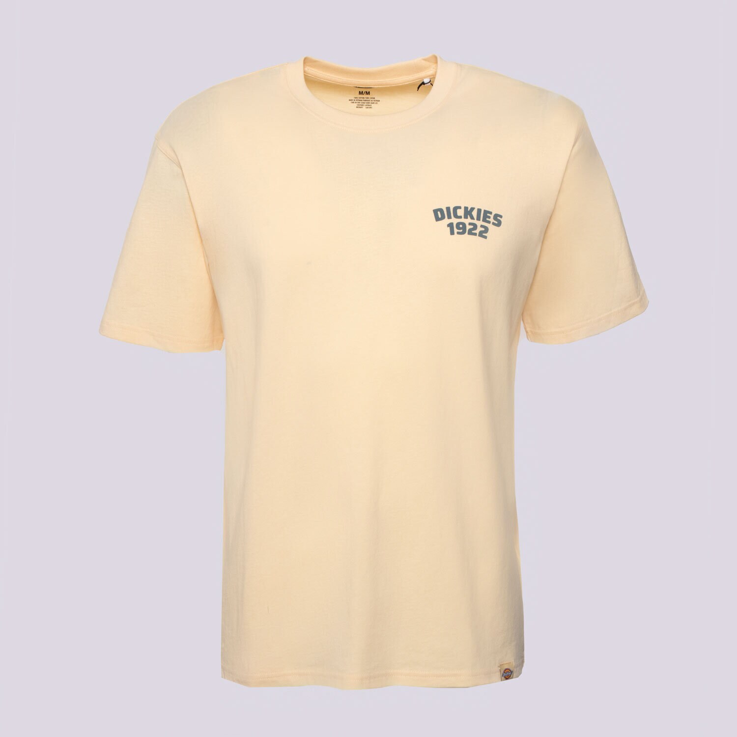 Bărbați tricou DICKIES TRICOU MECHANIC SS TEE DK0A4Z96K531 Bej