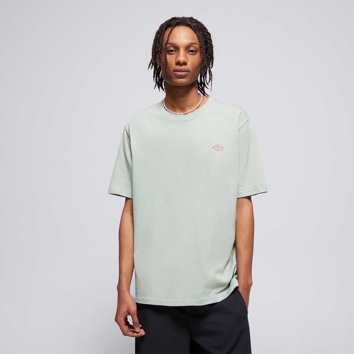 Bărbați tricou DICKIES TRICOU SS MAPLETON TEE DK0A4XDBK361 Verde
