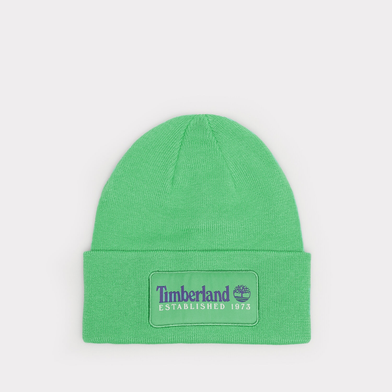 Copii căciulă TIMBERLAND CACIULA ESTABLISHED 1973 TB0A2PTDH311 Verde