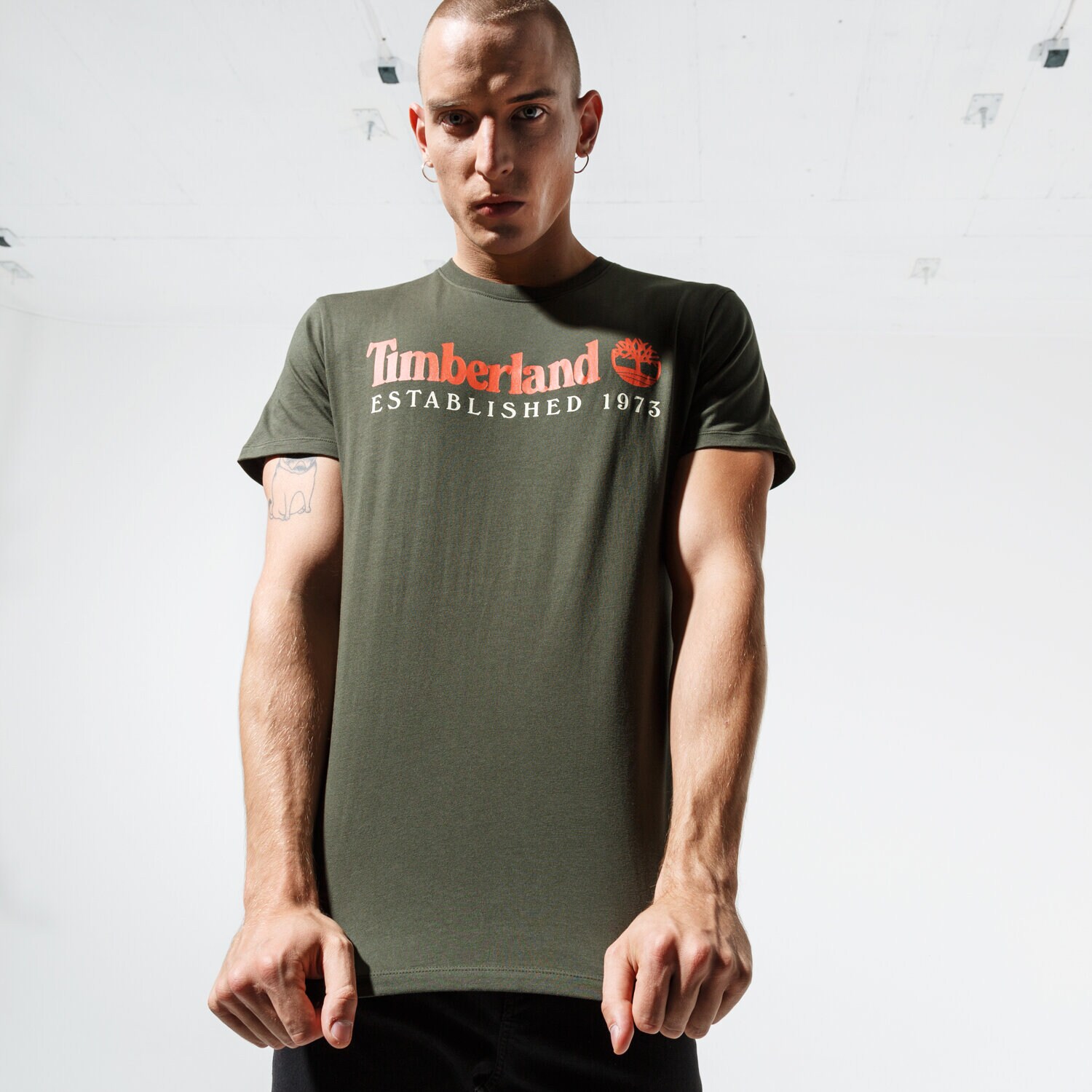 Bărbați tricou TIMBERLAND TRICOU SS SS ESTABLISHED 1973 TEE TB0A1YVGU311 Verde