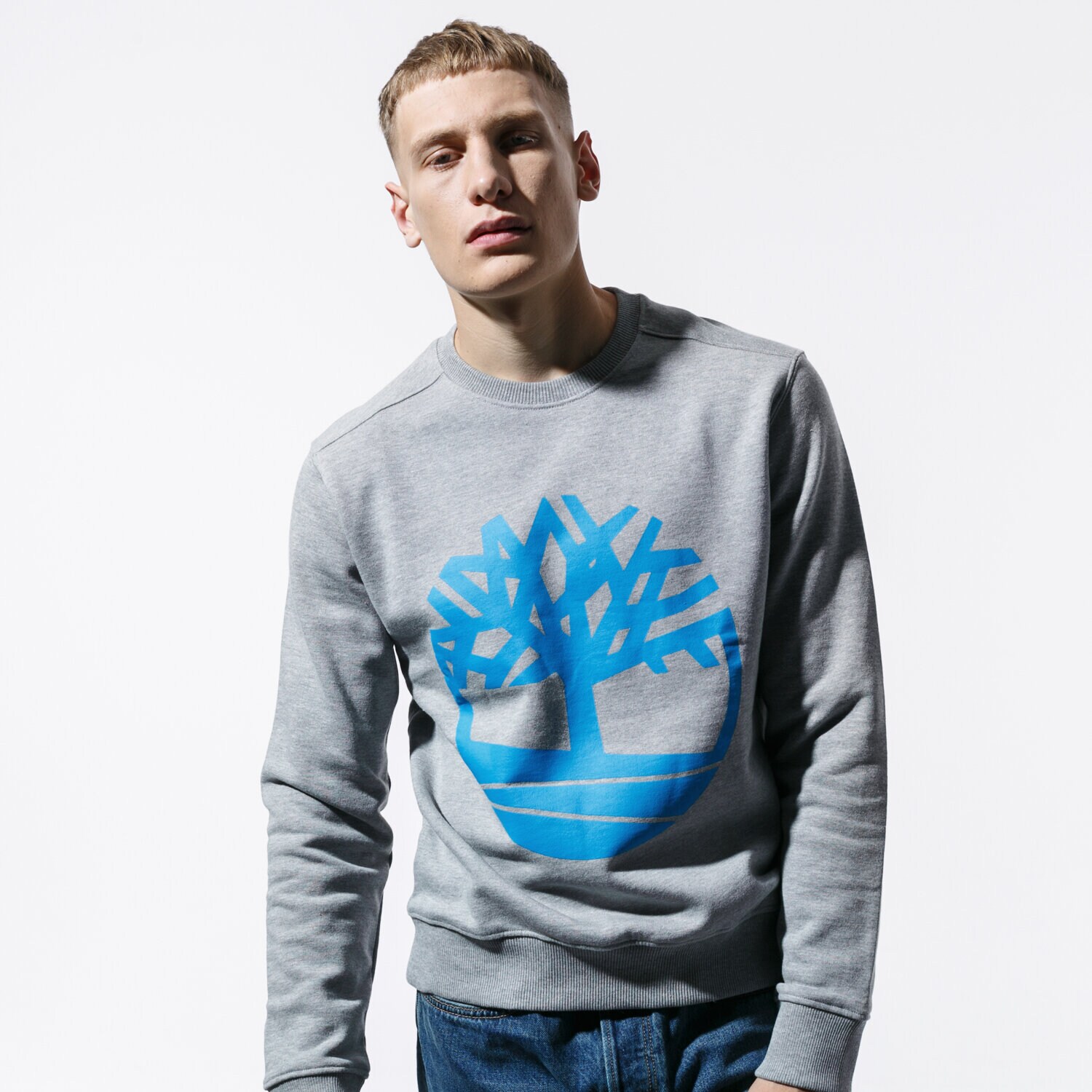 Bărbați bluză TIMBERLAND BLUZĂ CORE TREE LOGO CREW SWEAT TB0A1ZKC0521 Gri
