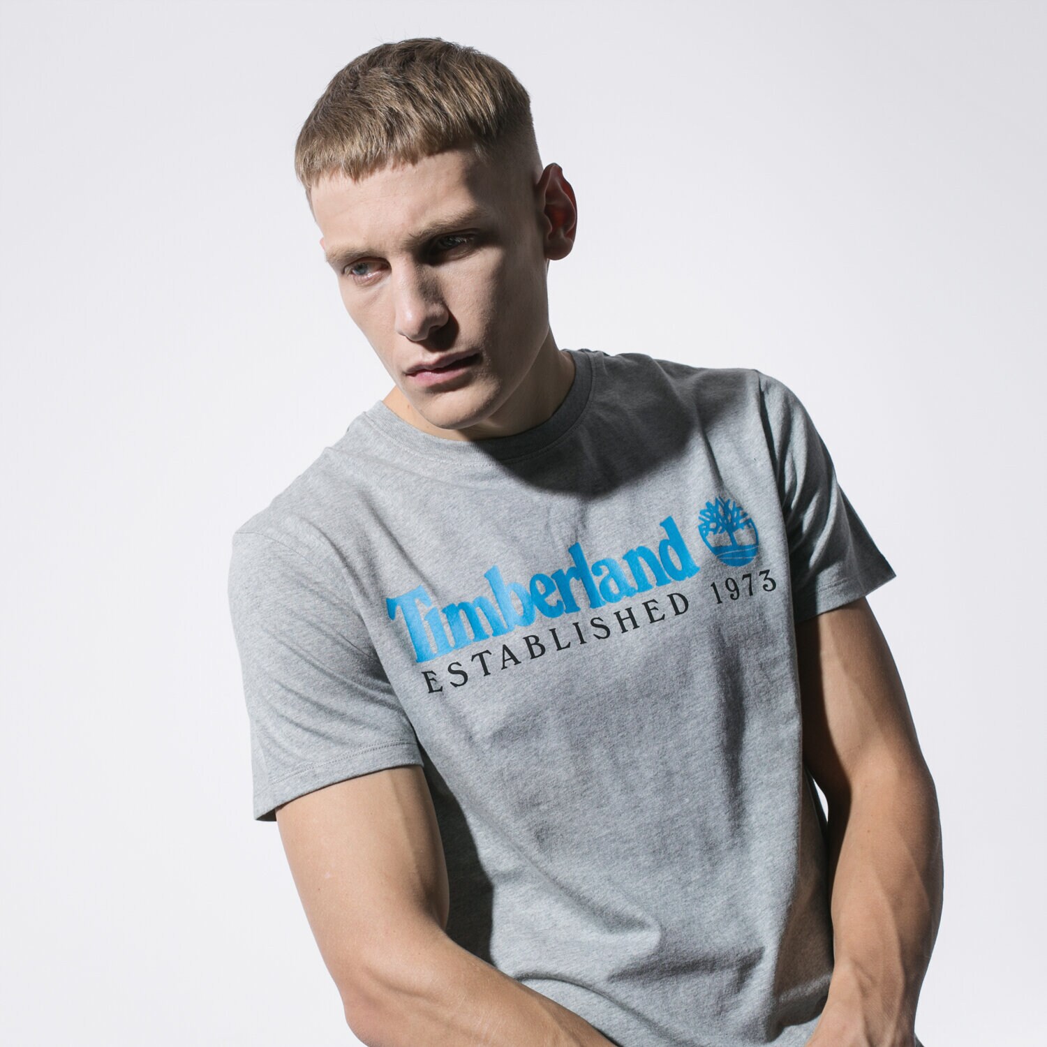 Bărbați tricou TIMBERLAND TRICOU SS SS ESTABLISHED 1973 TEE TB0A1YVG0521 Gri