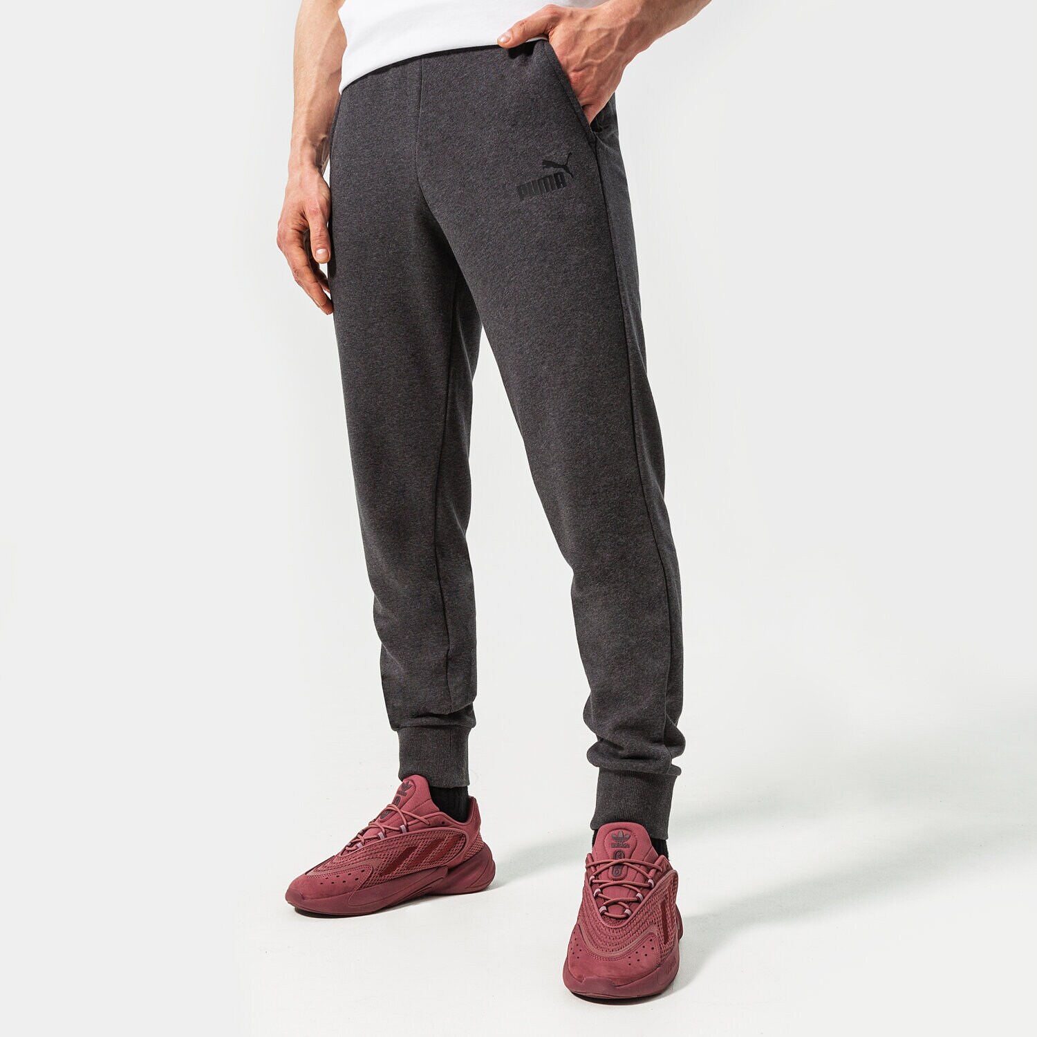 Bărbați pantaloni PUMA PANTALONI ESS LOGO TR CL 586716 07 Gri