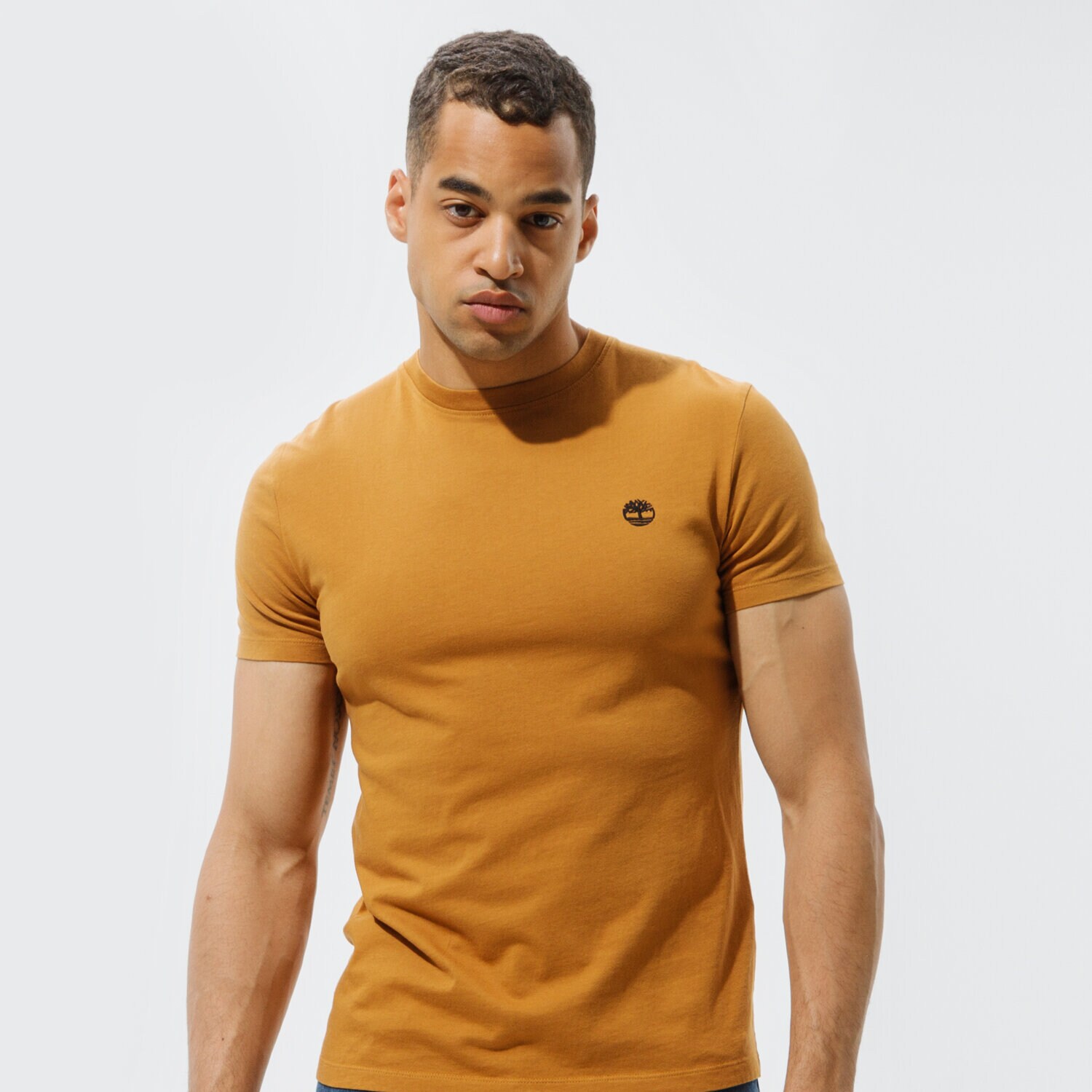 Bărbați tricou TIMBERLAND TRICOU SS DUNSTAN RIVER JERSEY CREW TEE (SLIM) TB0A2BPRP471 Maro