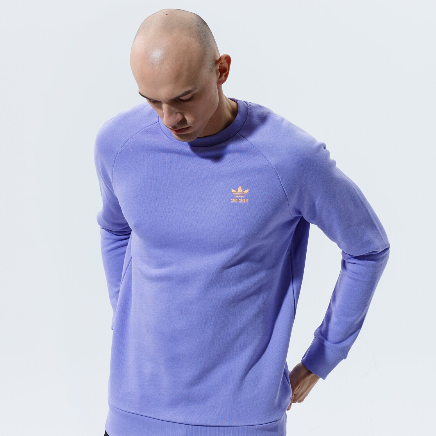 Bărbați bluză ADIDAS BLUZĂ ESSENTIAL CREW GN3410 Violet