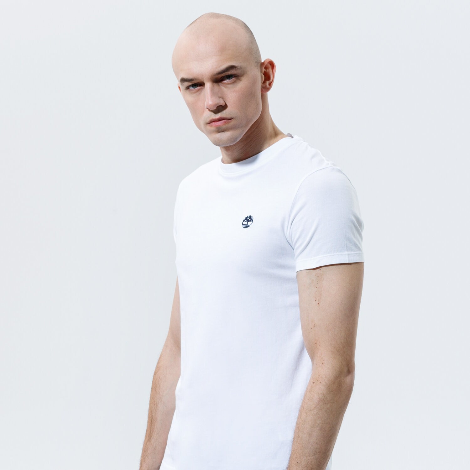 Bărbați tricou TIMBERLAND TRICOU SS DUNSTAN JERSEY CREW TEE SLIM TB0A2BPR1001 Alb