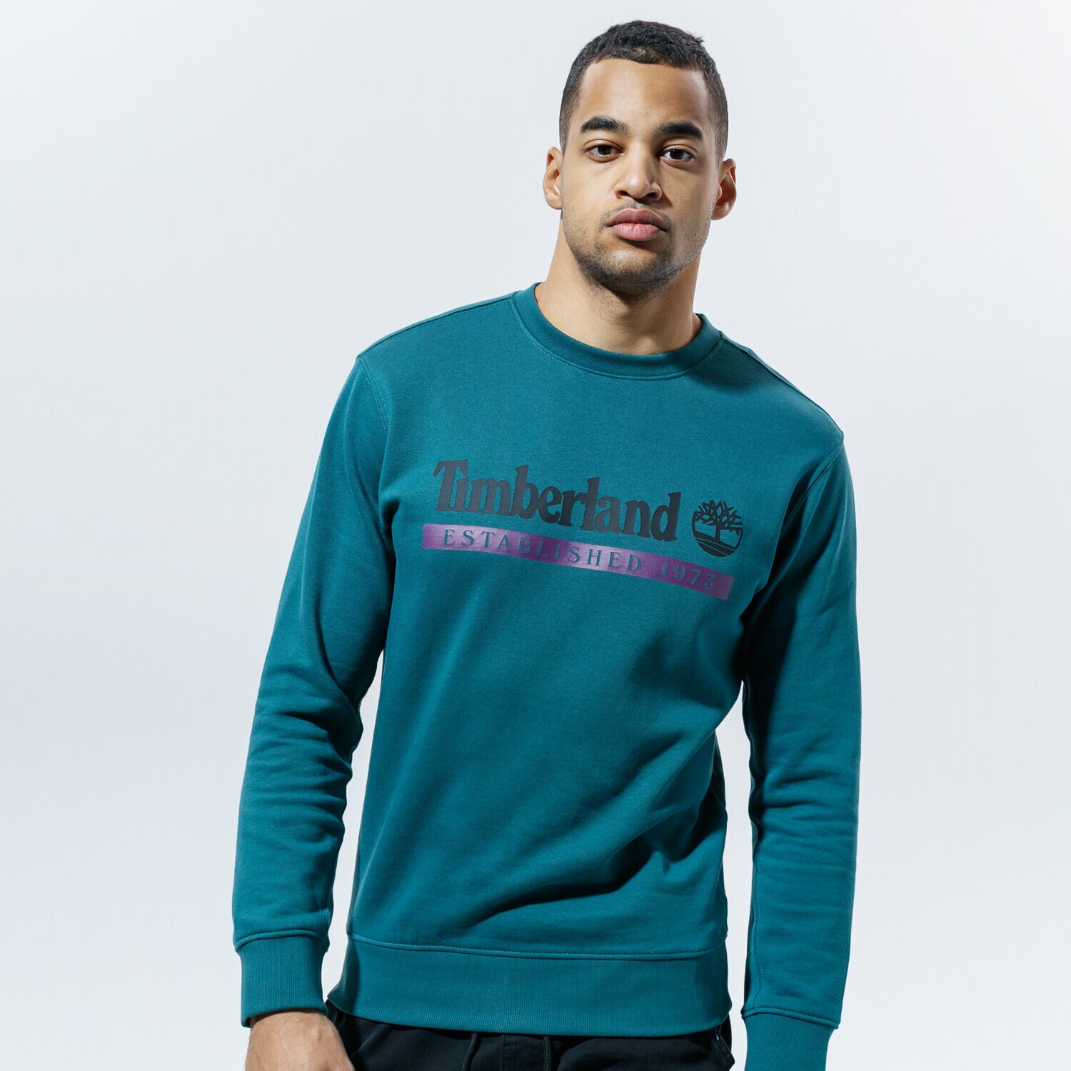 Bărbați bluză TIMBERLAND BLUZĂ YC ESTABLISHED 1973 CREW NECK TB0A2AMHAQ91 Verde