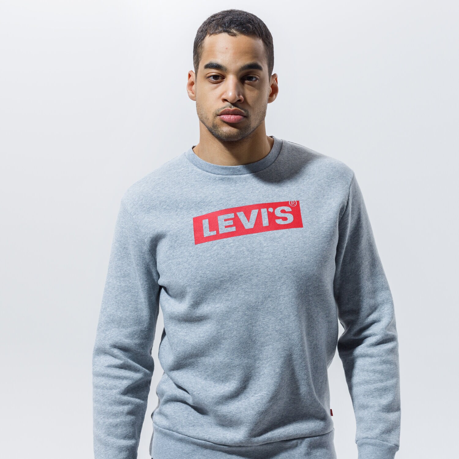 Bărbați bluză LEVI'S BLUZĂ T3 GRAPHIC CREW 38796-0028 Gri