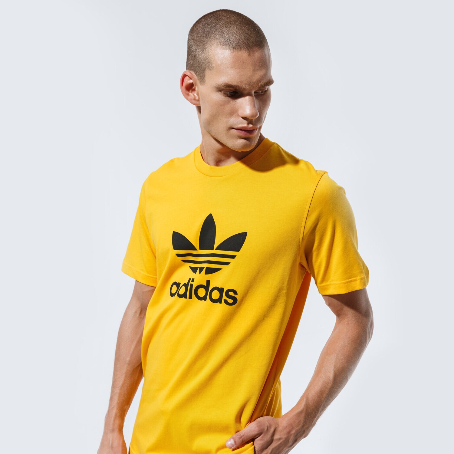 Bărbați tricou ADIDAS TRICOU TREFOIL TRICOU GD9913 Galben