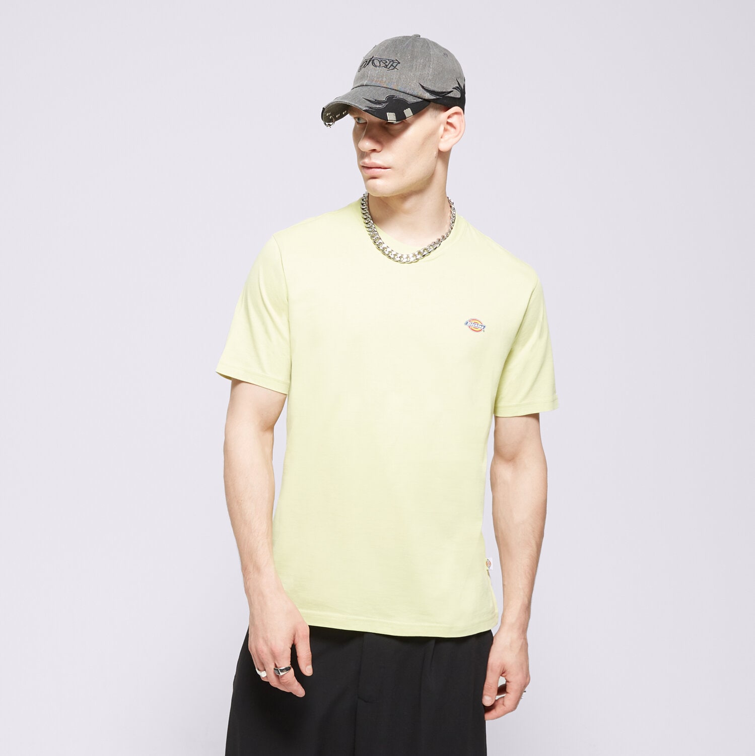 Bărbați tricou DICKIES TRICOU SS MAPLETON TEE DK0A4XDBH141 Galben