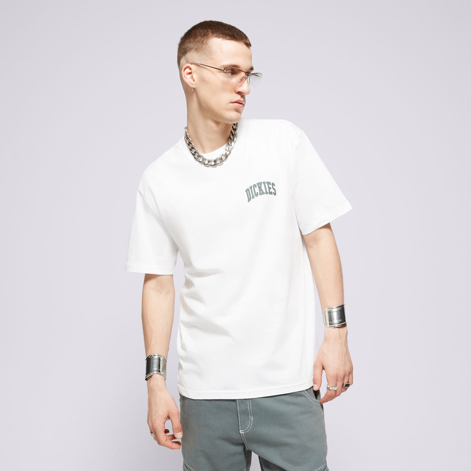 Bărbați tricou DICKIES TRICOU AITKIN CHEST TEE SS DK0A4Y8OJ401 Alb