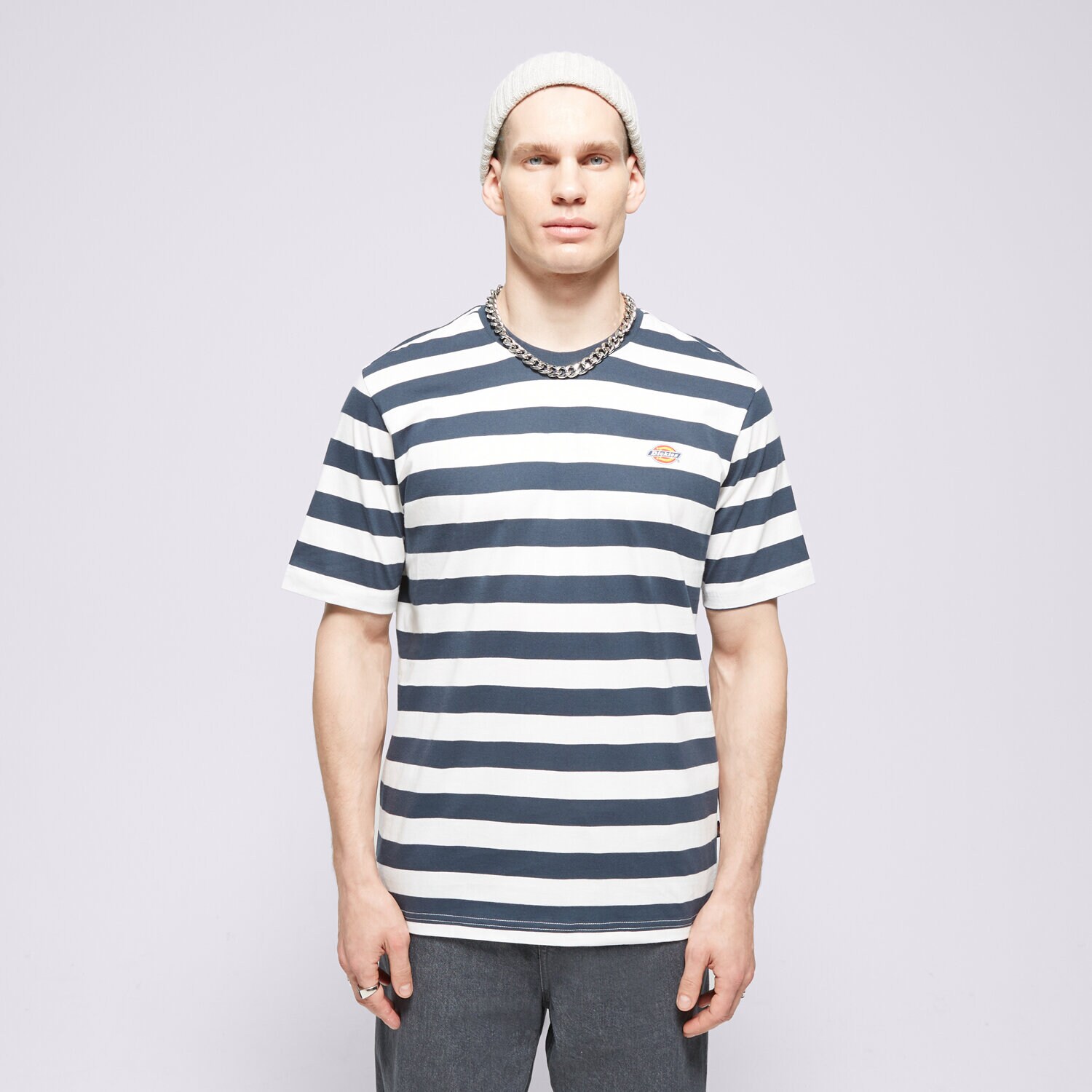 Bărbați tricou DICKIES TRICOU RIVERGROVE DK0A4Y8YAF01 Bleumarin