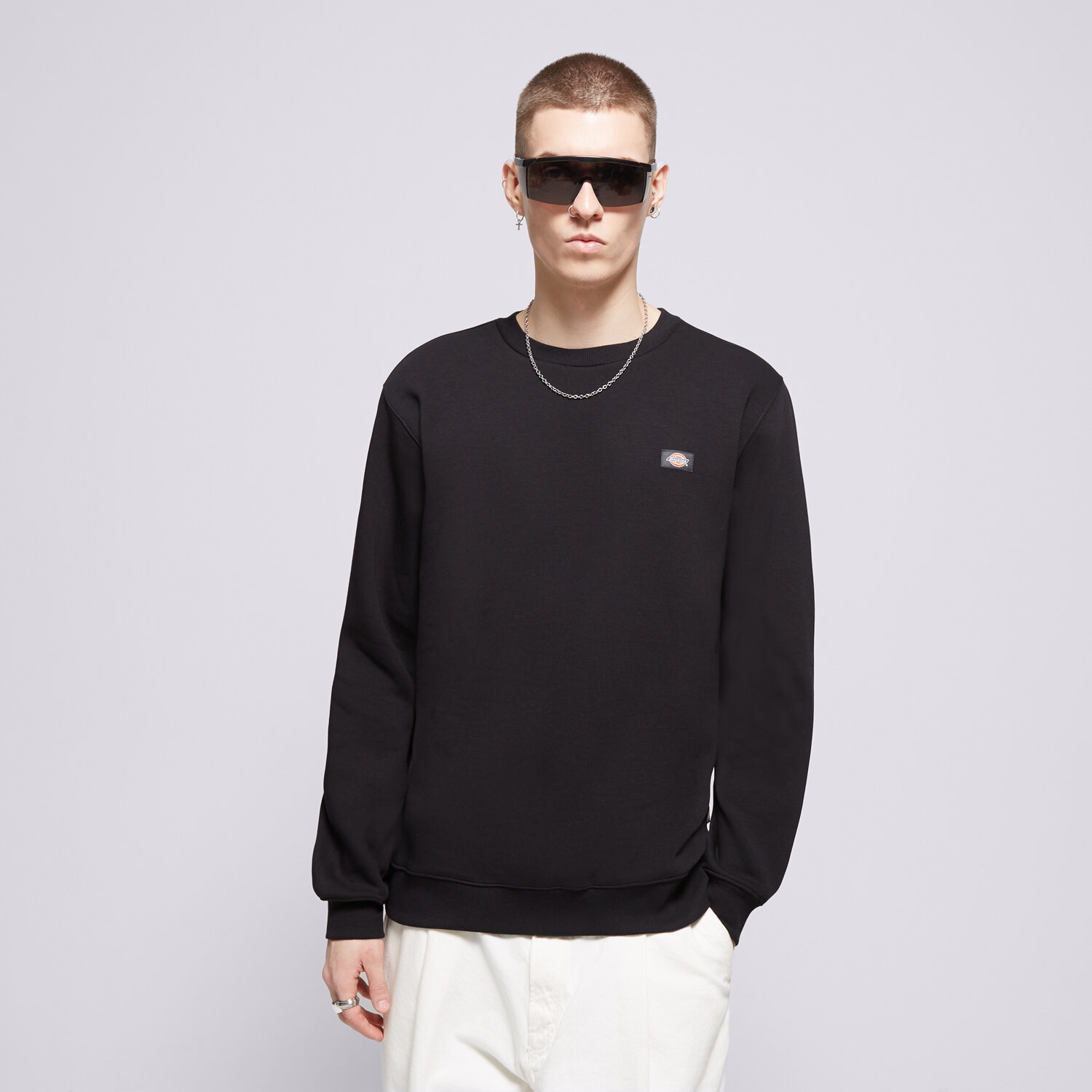 Bărbați bluză DICKIES BLUZĂ OAKPORT SWEATSHIRT DK0A4XCEBLK1 Negru