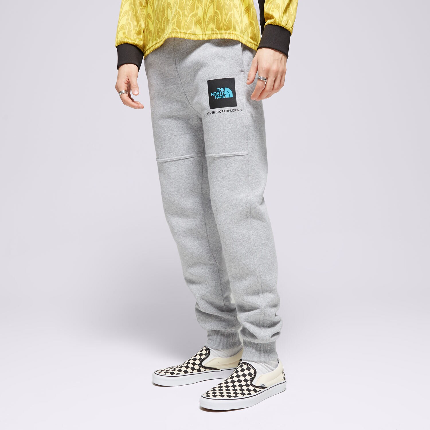 Bărbați pantaloni THE NORTH FACE PANTALONI  FINE BOX PANT GYM PANT2 Gri