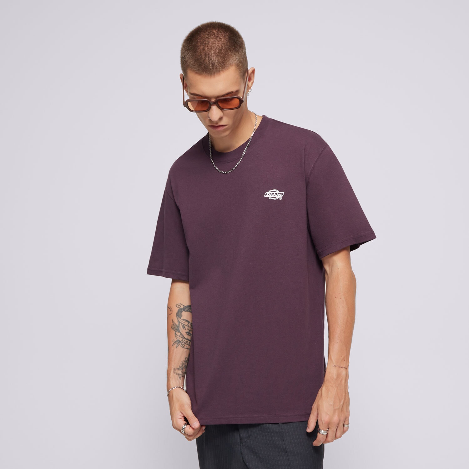 Bărbați tricou DICKIES TRICOU SUMMERDALE SS TEE DK0A4YAIJ561 Violet