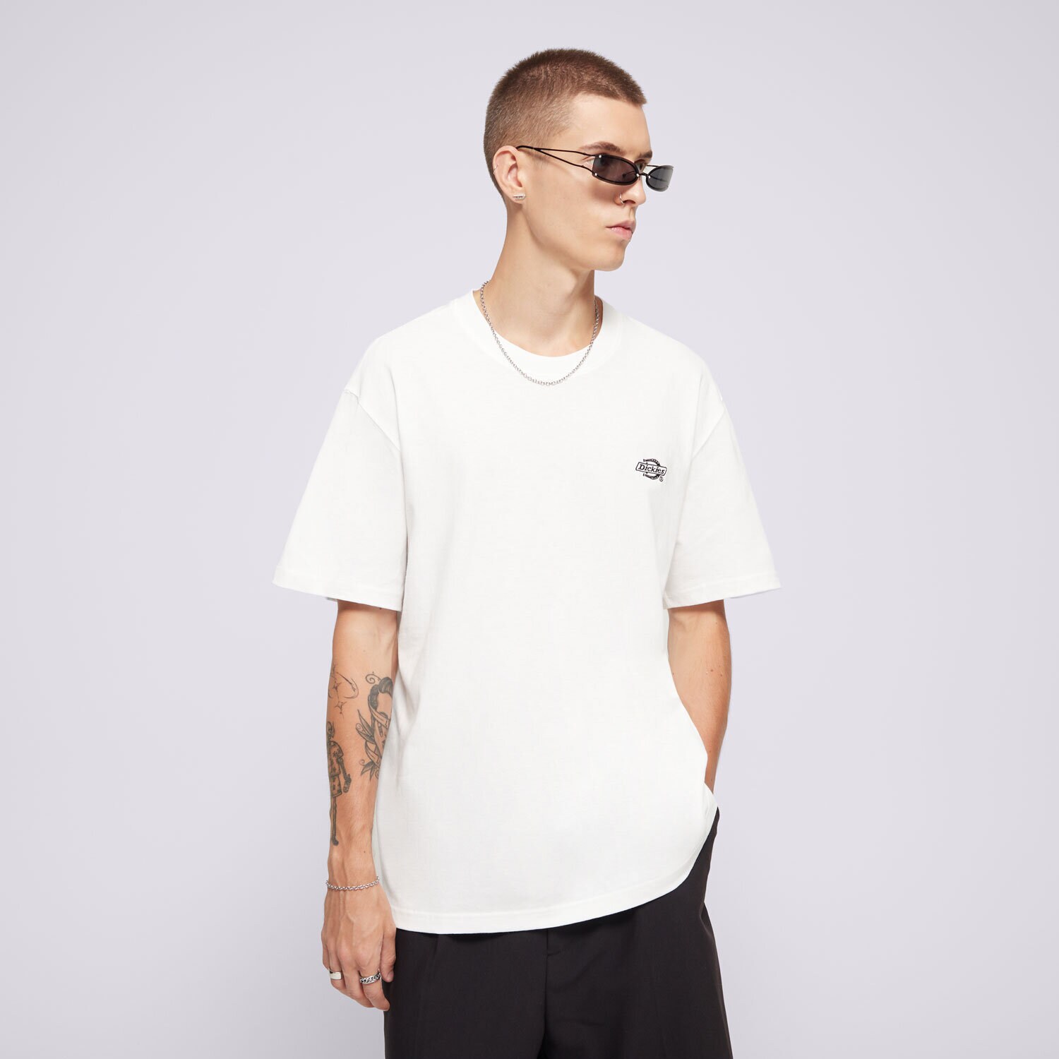 Bărbați tricou DICKIES TRICOU SUMMERDALE SS TEE DK0A4YAIWHX1 Alb