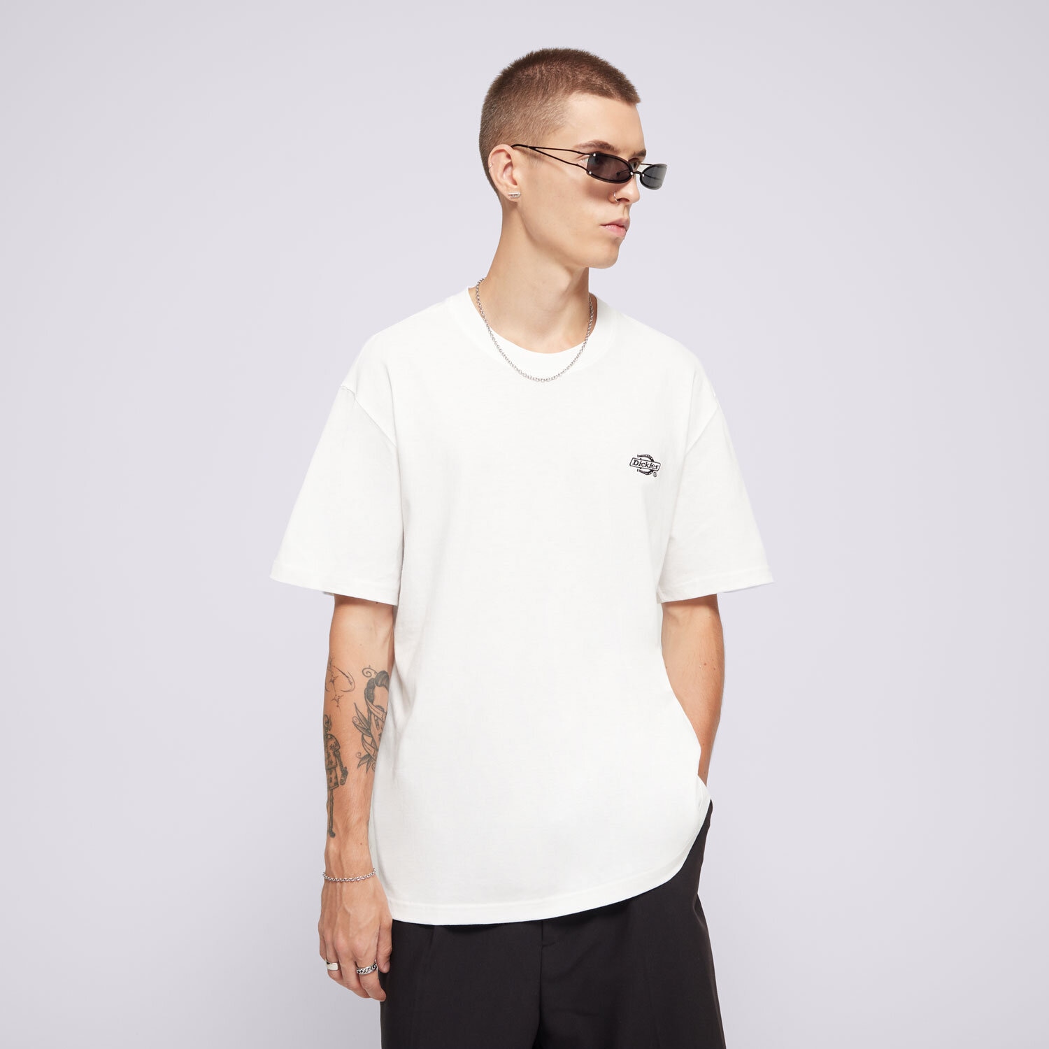 Bărbați tricou DICKIES TRICOU SUMMERDALE SS TEE DK0A4YAIWHX1 Alb