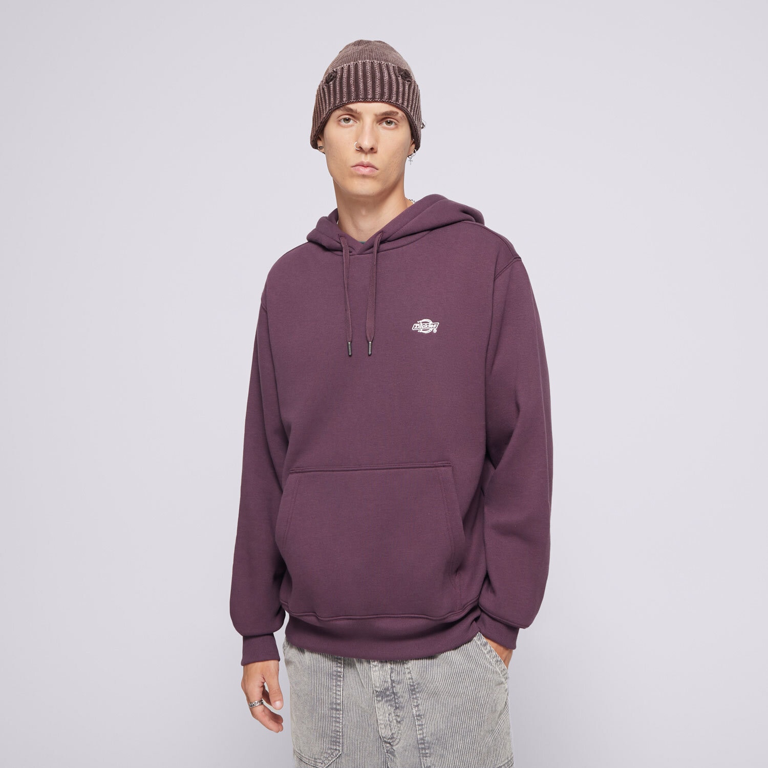 Bărbați bluză DICKIES BLUZĂ CU GLUGĂ SUMMERDALE HOODIE DK0A4Y6PJ561 Violet