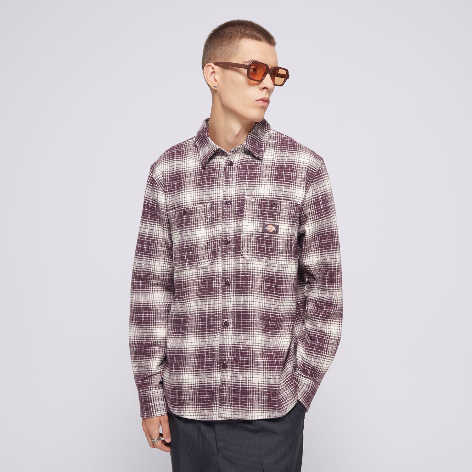 Bărbați tricou DICKIES CĂMAșĂ EVANSVILLE LS DK0A4XGTJ561 Violet