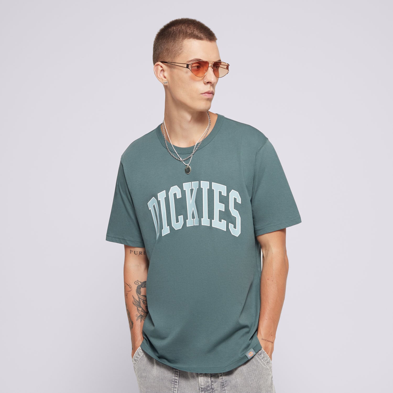 Bărbați tricou DICKIES TRICOU AITKIN TEE DK0A4X9FJ951 Verde