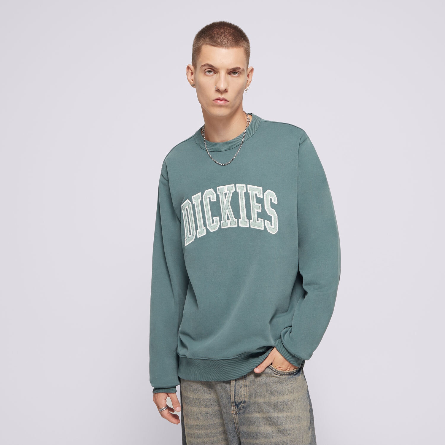 Bărbați bluză DICKIES BLUZĂ AITKIN SWEATSHIRT DK0A4XABJ951 Verde