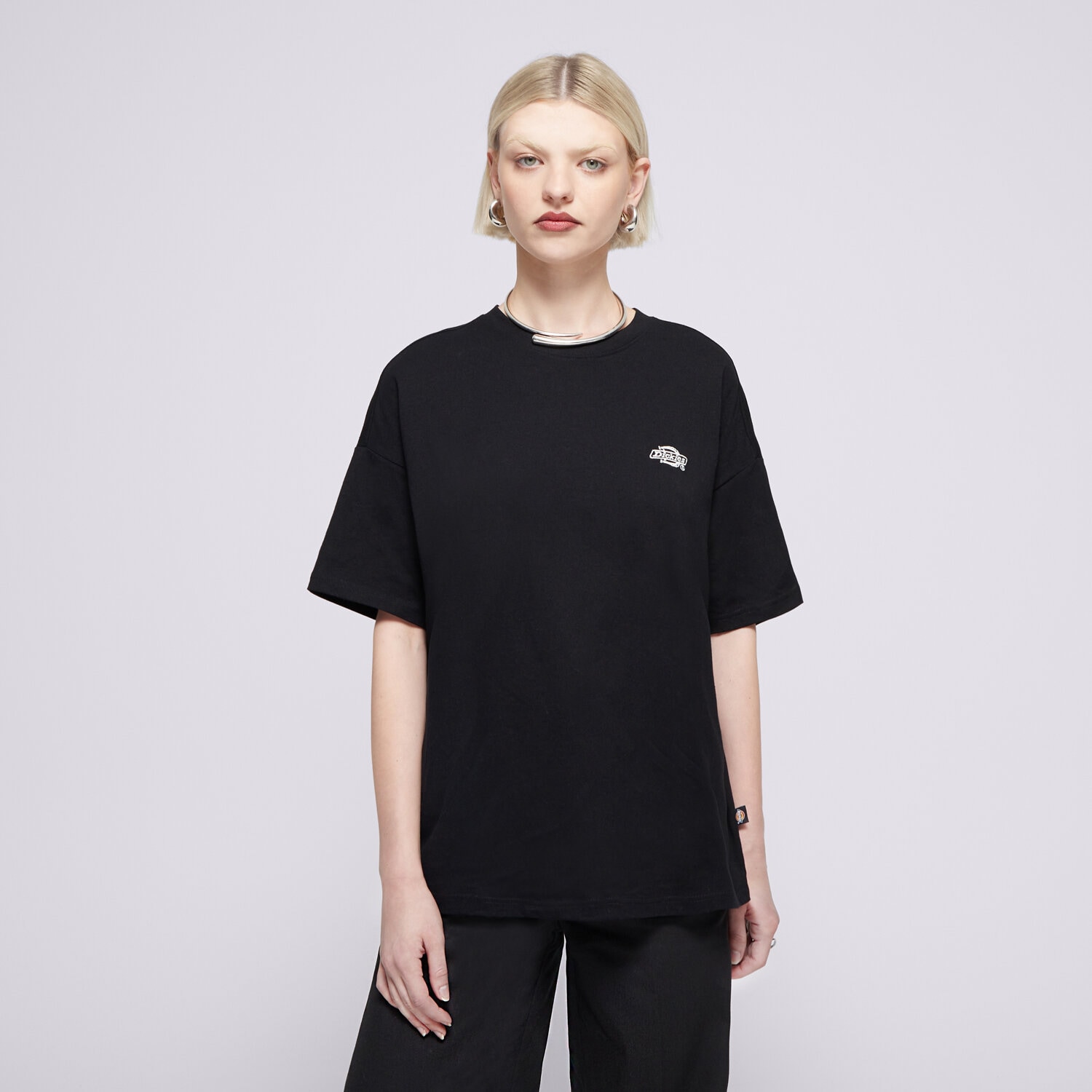 Femei tricou DICKIES TRICOU SUMMERDALE SS TEE DK0A4Y1BBLK1 Negru