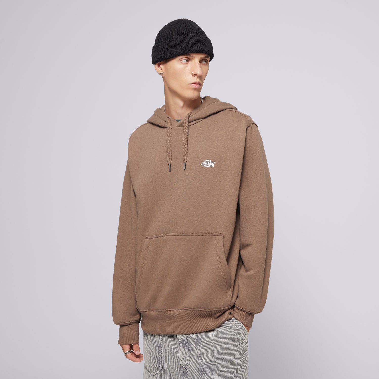 Bărbați bluză DICKIES BLUZĂ CU GLUGĂ SUMMERDALE HOODIE DK0A4Y6PMR11 Negru
