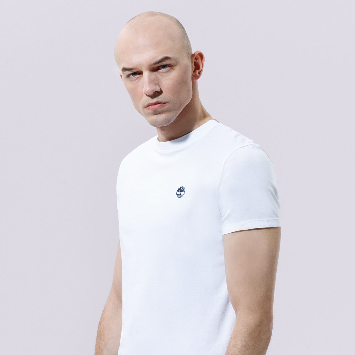 Bărbați tricou TIMBERLAND TRICOU SS DUNSTAN JERSEY CREW TEE SLIM TB0A2BPR1001 Alb