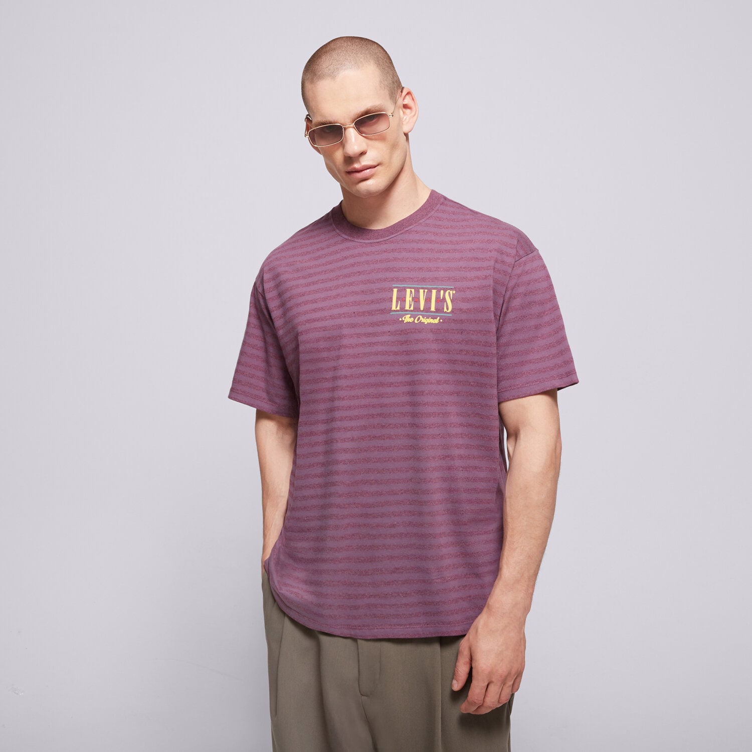 Bărbați tricou LEVI'S TRICOU VINTAGE FIT GRAPHIC TEE GREYS 87373-0345 Violet
