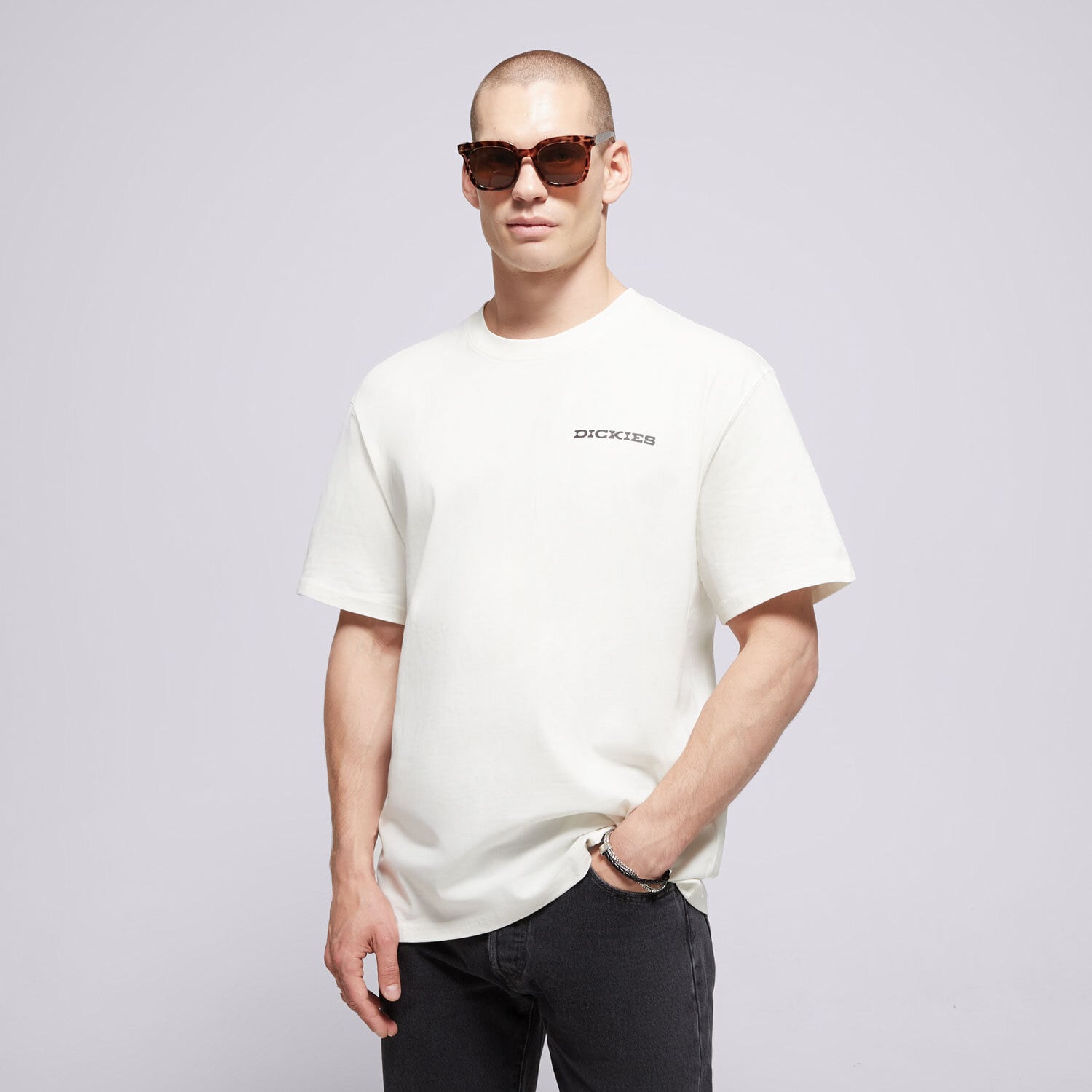 Bărbați tricou DICKIES TRICOU LANDASCAPE SS TEE DK0A4Z8VC481 Alb