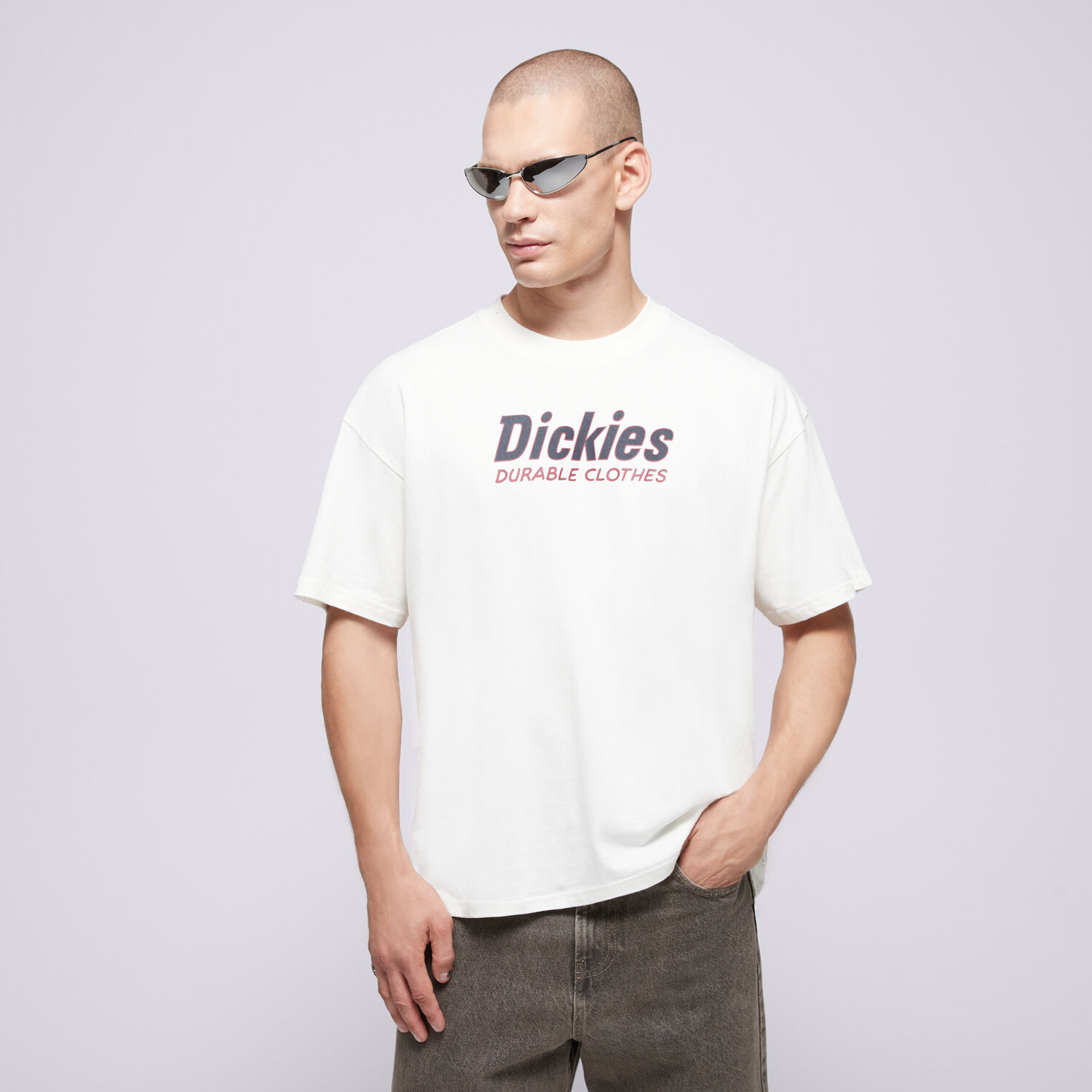 Bărbați tricou DICKIES TRICOU WILLISTON TEE SS DK0A87YLC481 Bej