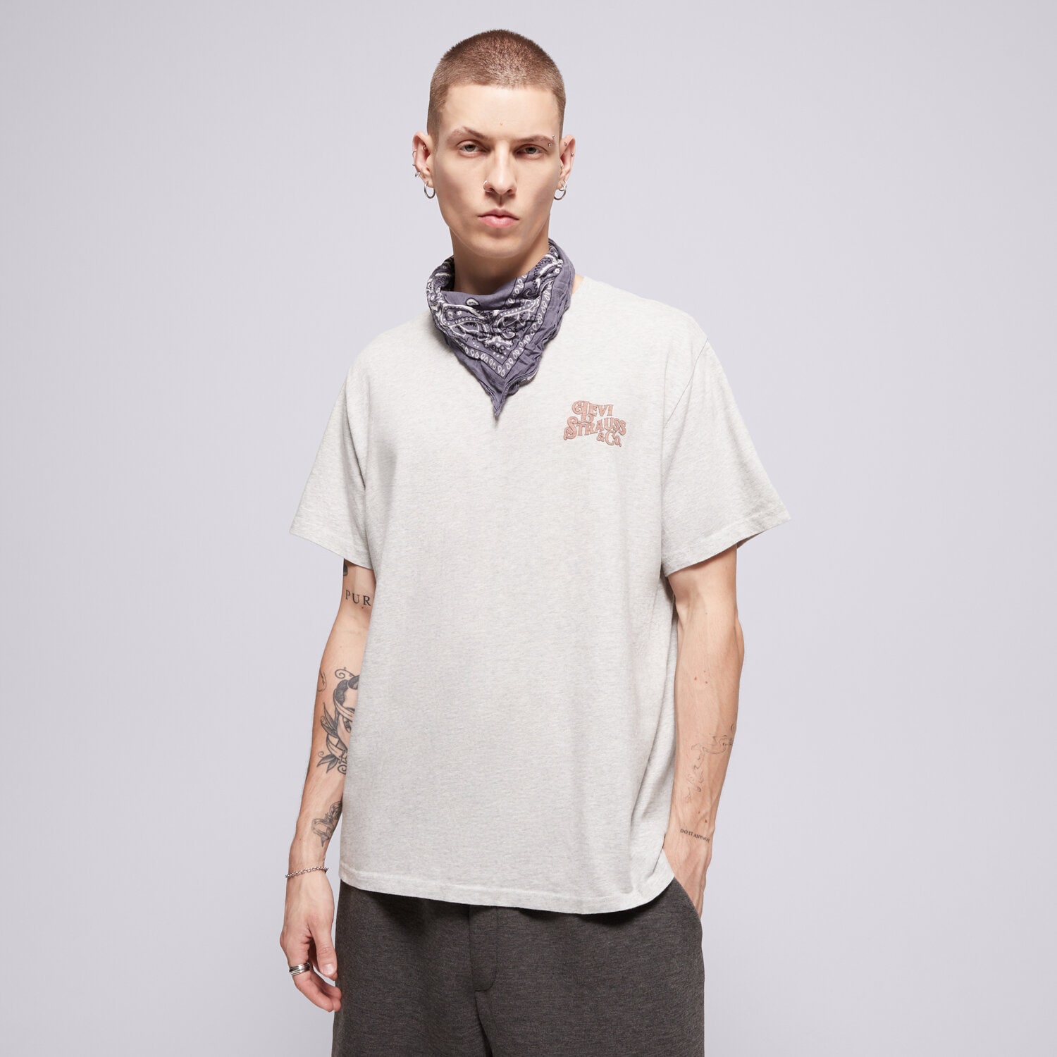 Bărbați tricou LEVI'S TRICOU SS RELAXED FIT TEE GREYS 16143-1816 Gri