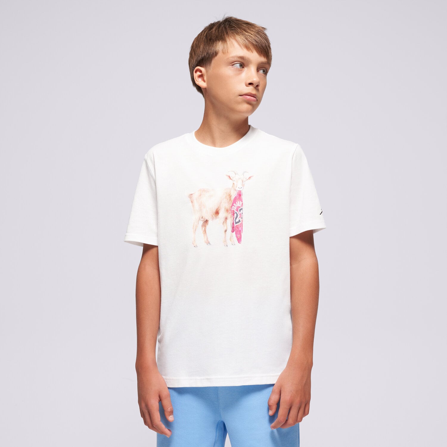Copii tricou JORDAN TRICOU JDB MJ FLT GOAT SS CREW BOY 95F314-001 Alb