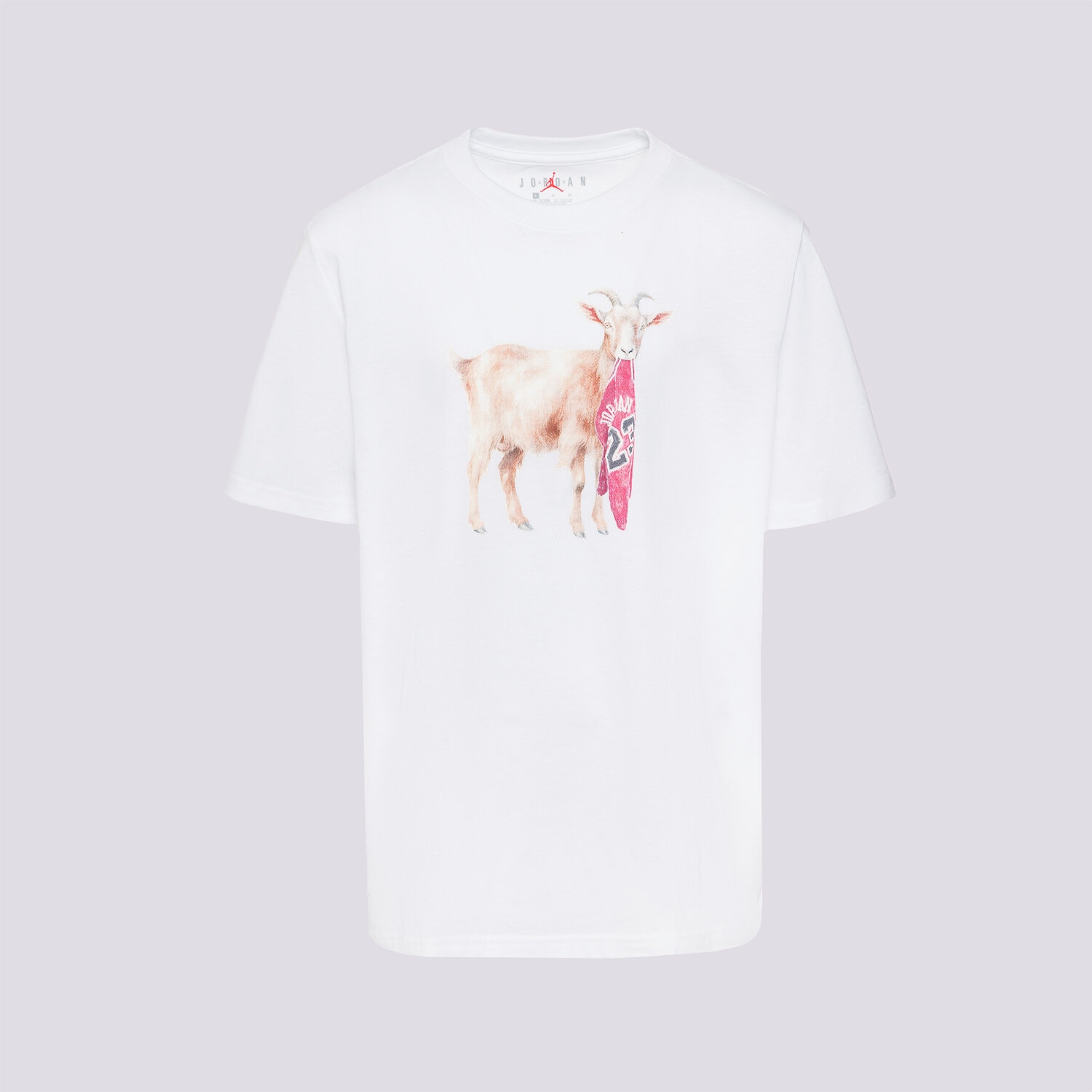 Copii tricou JORDAN TRICOU JDB MJ FLT GOAT SS CREW BOY 95F314-001 Alb