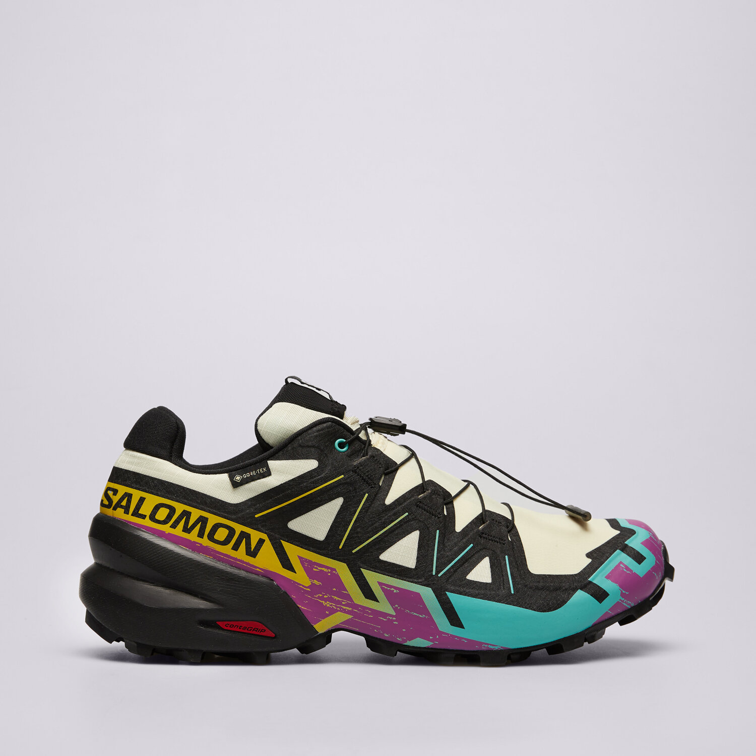Bărbați teniși SALOMON SPEEDCROSS 6 GTX L47879800 Negru