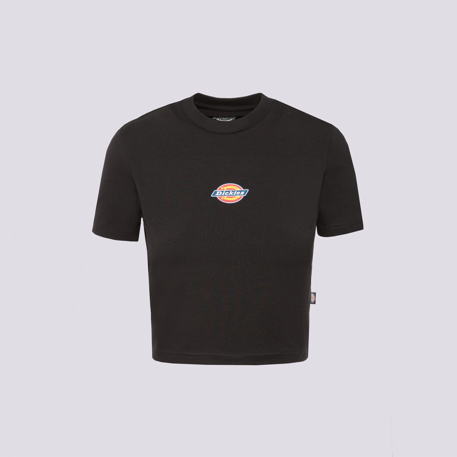Femei tricou DICKIES TRICOU MAPLE VALLEY TEE DK0A4XPOBLK1 Negru