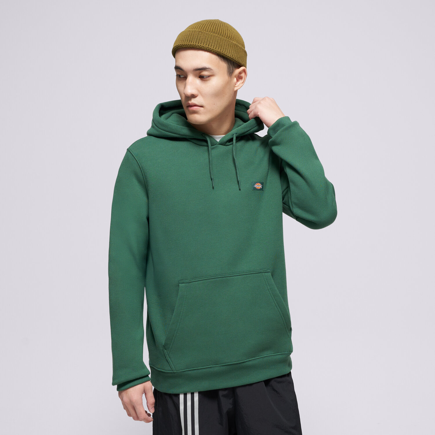 Bărbați bluză DICKIES BLUZĂ CU GLUGĂ OAKPORT HOODIE DK0A4XCDPIN1 Verde