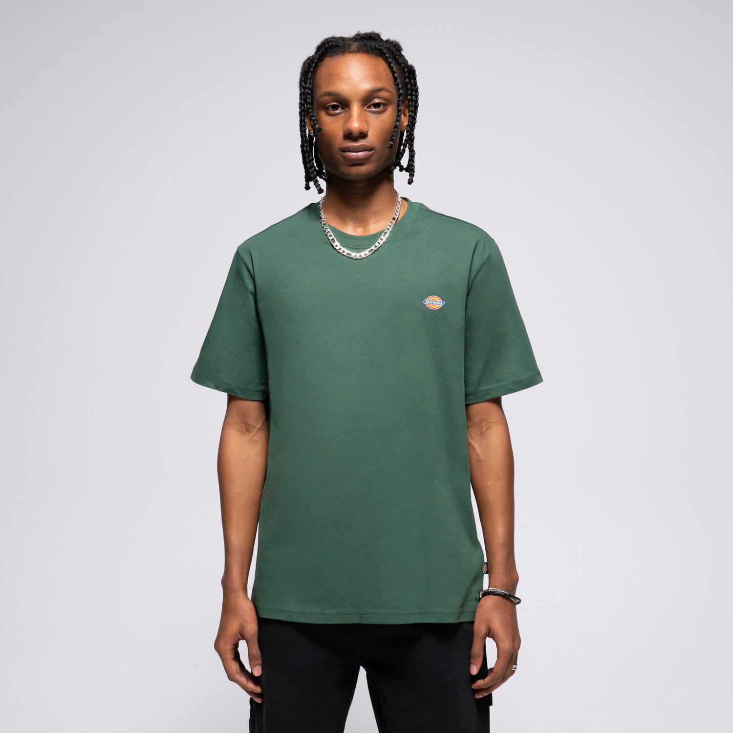 Bărbați tricou DICKIES TRICOU SS MAPLETON TEE DK0A4XDBPIN1 Verde