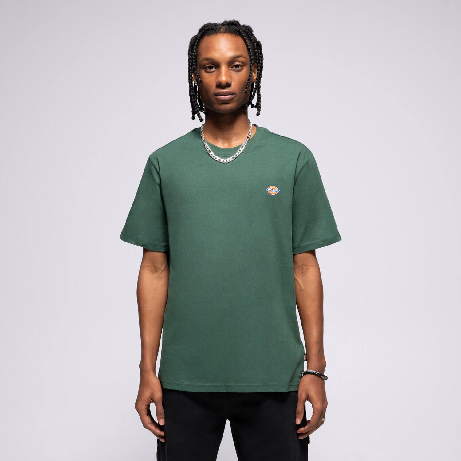 Bărbați tricou DICKIES TRICOU SS MAPLETON TEE DK0A4XDBPIN1 Verde