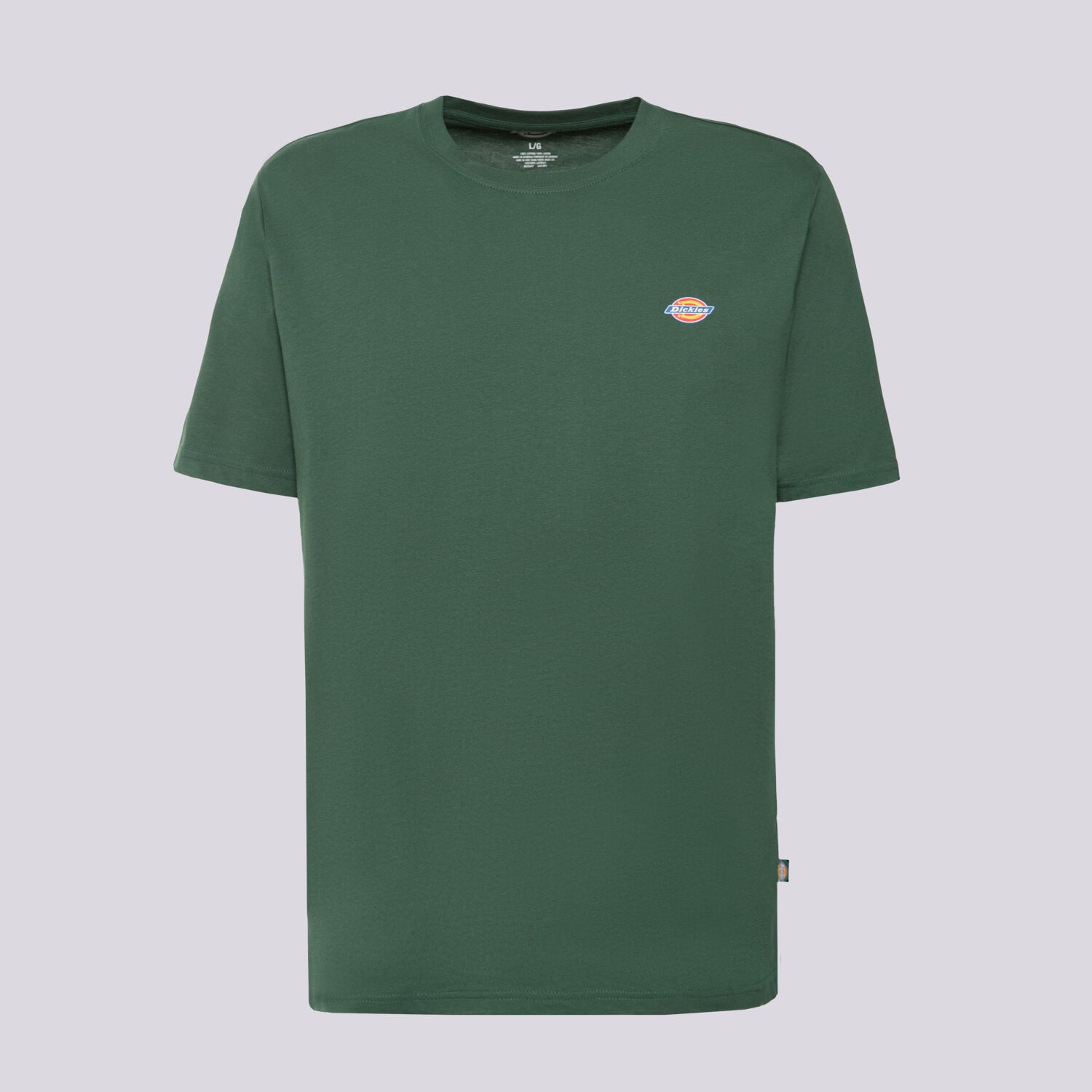 Bărbați tricou DICKIES TRICOU SS MAPLETON TEE DK0A4XDBPIN1 Verde