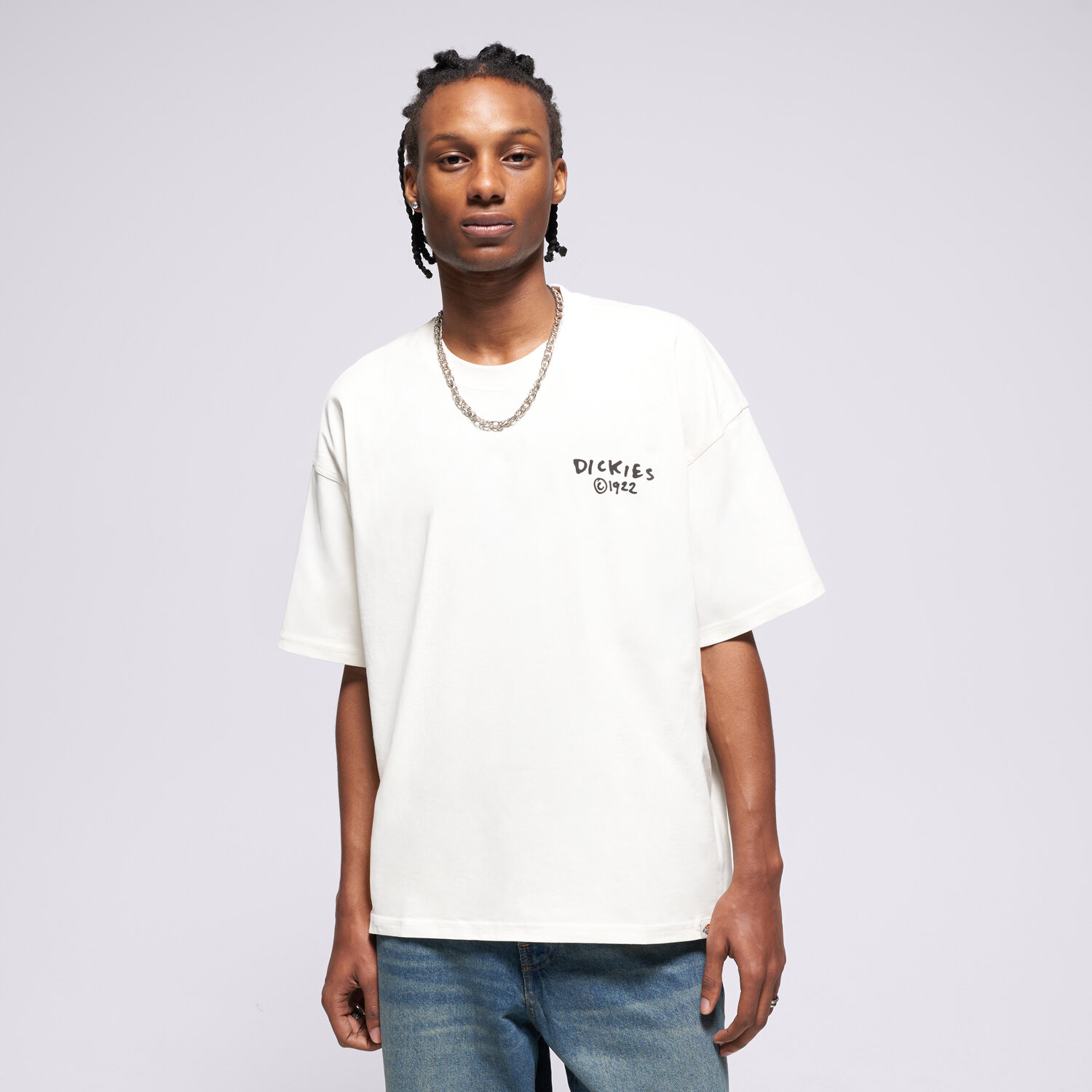 Bărbați tricou DICKIES TRICOU SNEEDVILLE TEE SS DK0A87QOC481 Bej