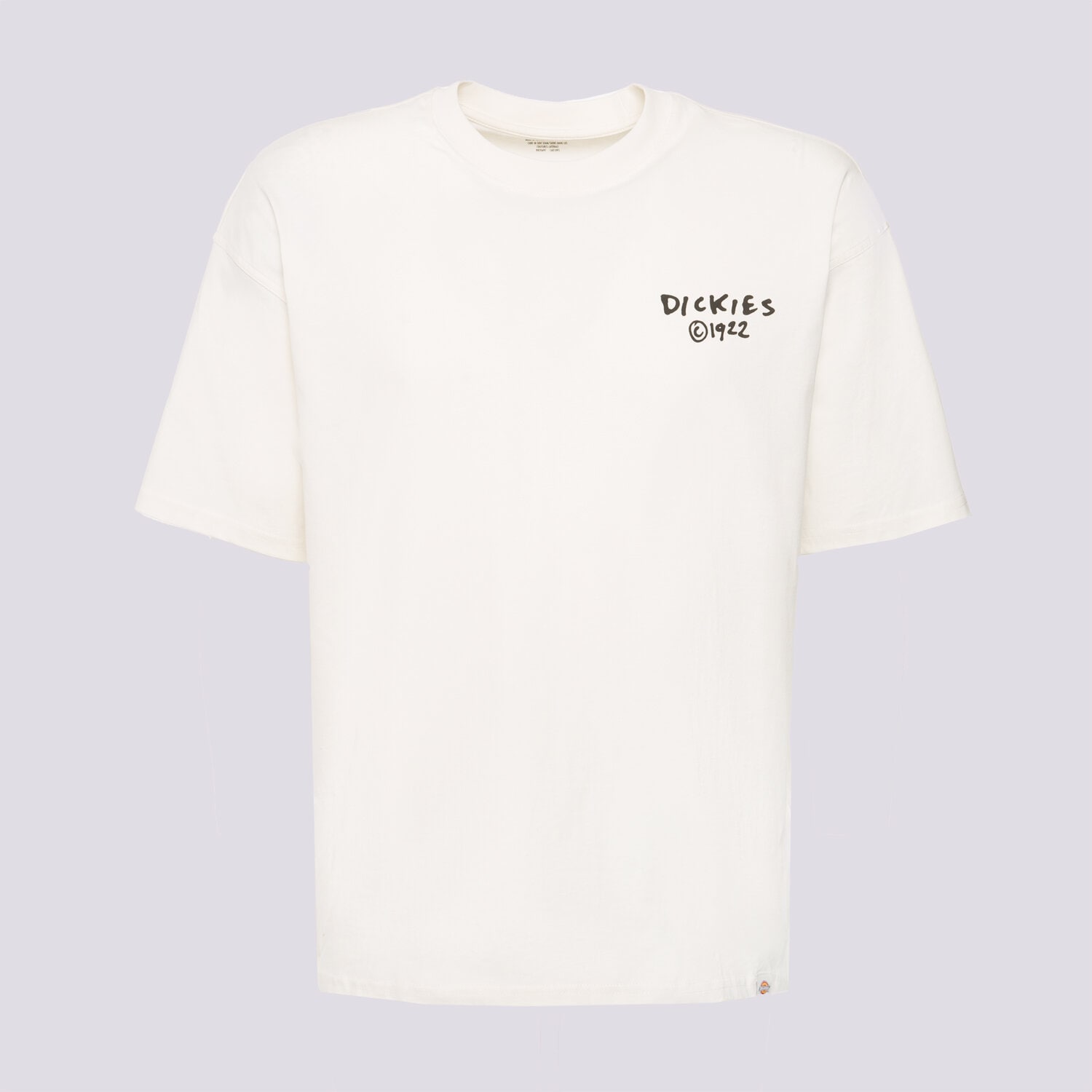 Bărbați tricou DICKIES TRICOU SNEEDVILLE TEE SS DK0A87QOC481 Bej