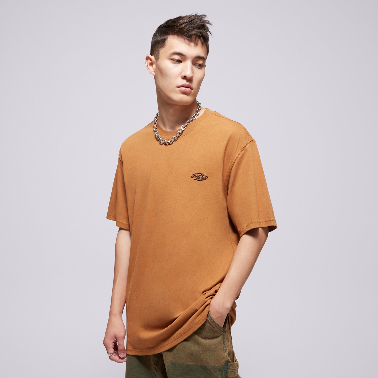 Bărbați tricou DICKIES TRICOU SUMMERDALE SS TEE DK0A4YAI0BD1 Maro
