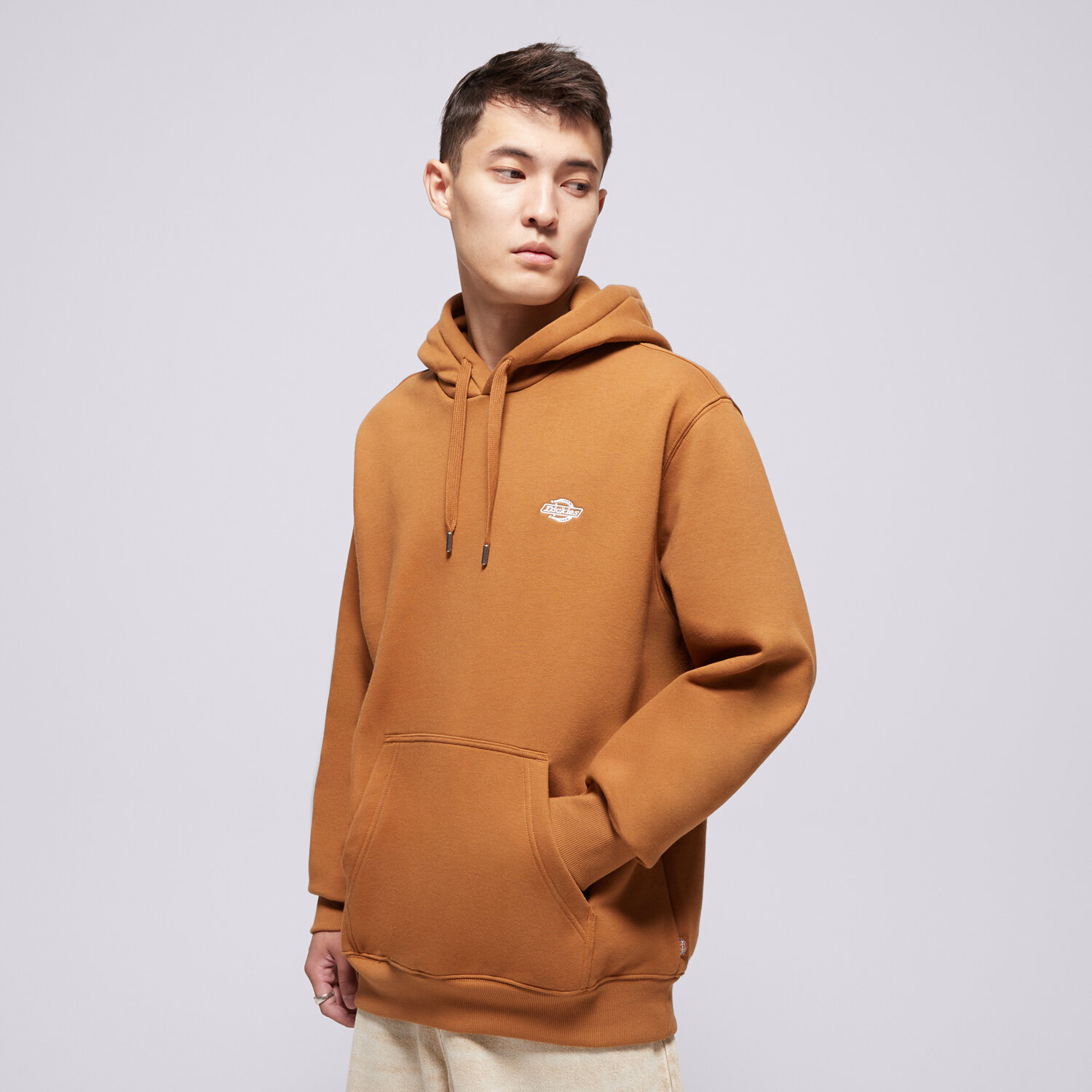 Bărbați bluză DICKIES BLUZĂ CU GLUGĂ SUMMERDALE HOODIE DK0A4Y6P0BD1 Maro