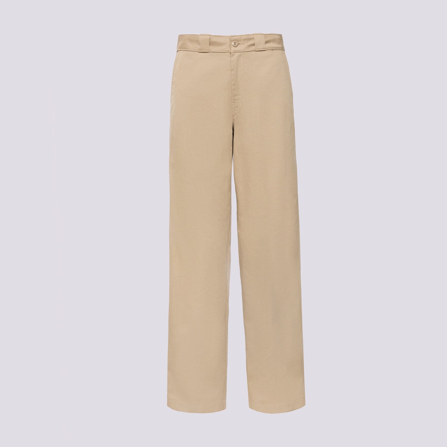 Femei pantaloni DICKIES PANTALONI  248 PANT W DK0A87PL0DS1 Bej