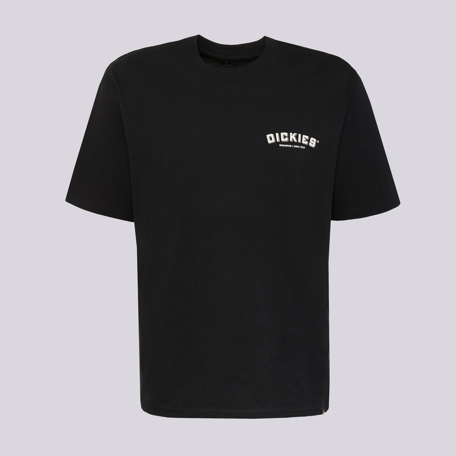 Bărbați tricou DICKIES TRICOU BUILDER TEE DK0A85SYBLK1 Negru
