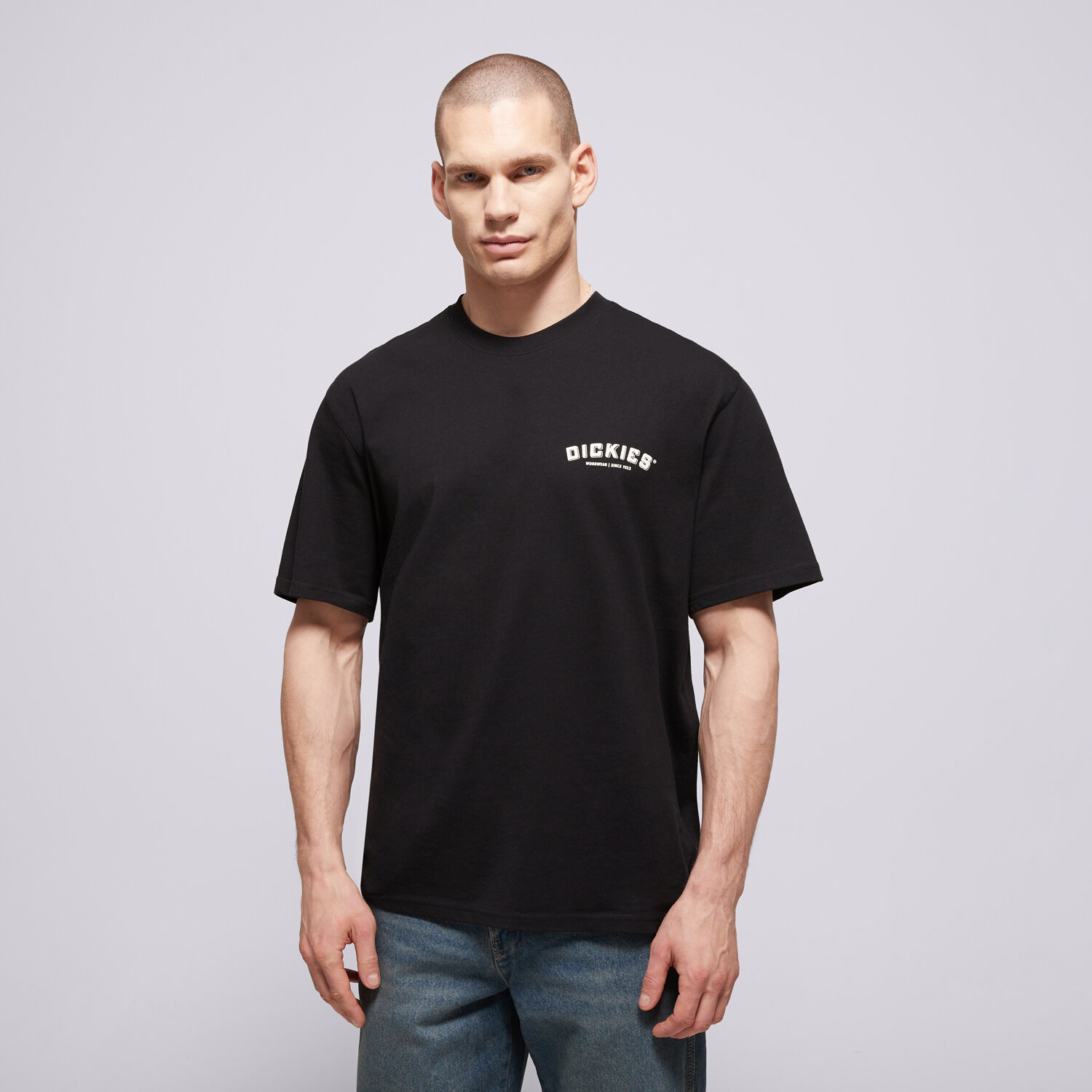 Bărbați tricou DICKIES TRICOU BUILDER TEE DK0A85SYBLK1 Negru