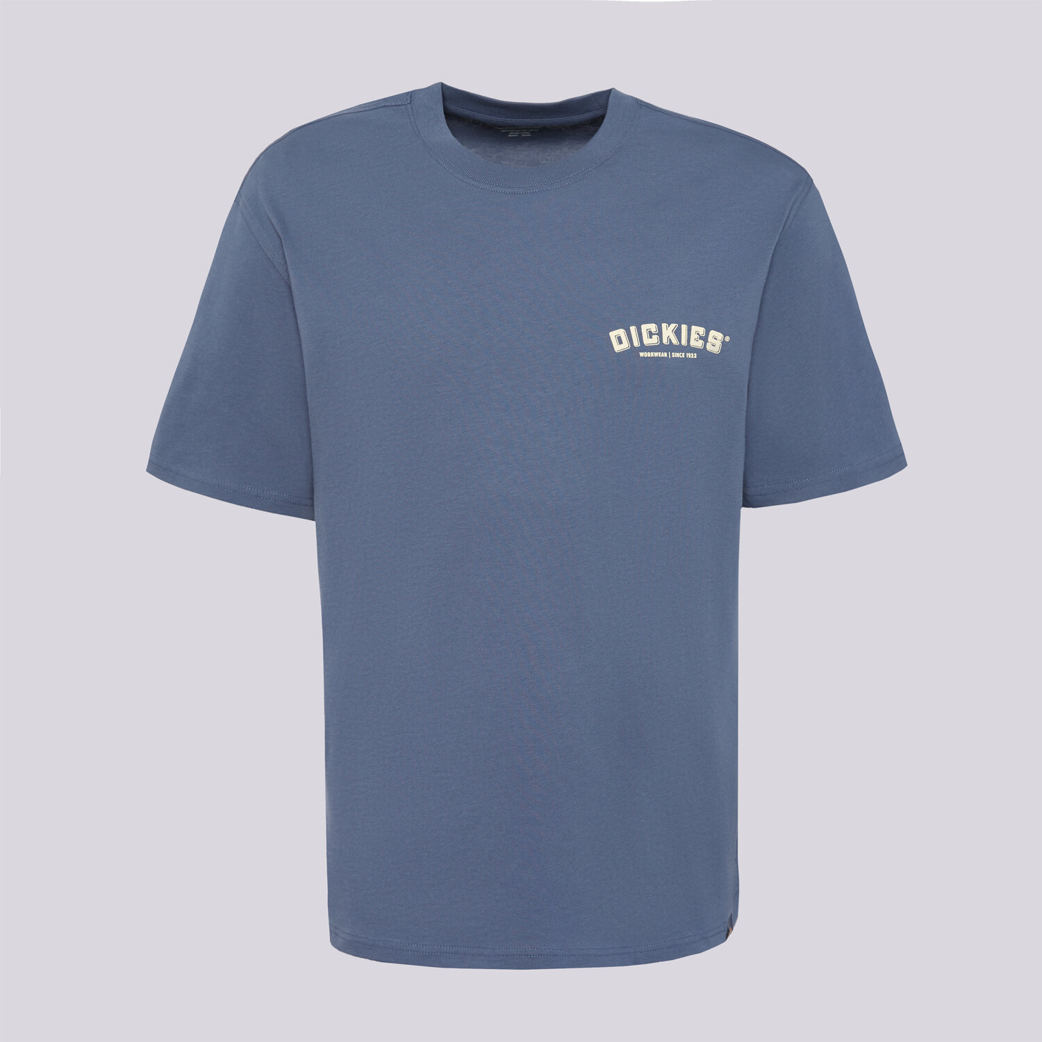 Bărbați tricou DICKIES TRICOU BUILDER TEE DK0A85SYRI21 Albastru